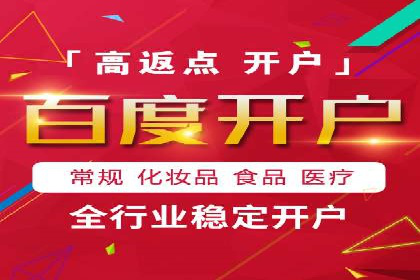 SEO与SEM优化案例：打造行业领先品牌